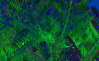The Poison Sumac #9 Wallpaper (1/4 of actual size) Poison Sumac #9 Wallpaper Preview